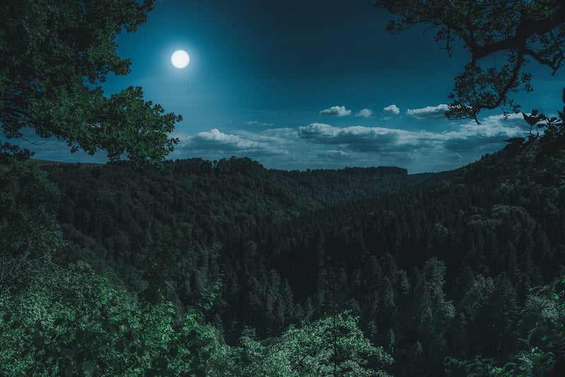 Moon Centerpiece